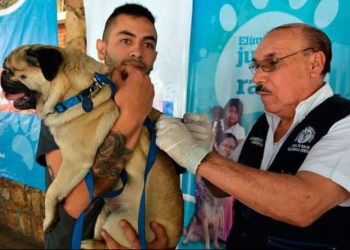 MSPAS tendrá jornada gratuita de vacunación canina contra la rabia