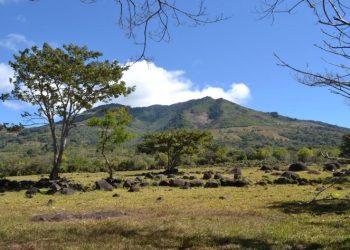 Lanzan proyecto para la conservación y restauración del paisaje del bosque seco Ostúa en el oriente del país