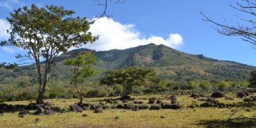 Lanzan proyecto para la conservación y restauración del paisaje del bosque seco Ostúa en el oriente del país