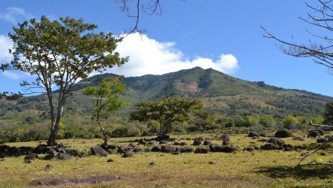 Lanzan proyecto para la conservaciÃ³n y restauraciÃ³n del paisaje del bosque seco OstÃºa en el oriente del paÃ­s