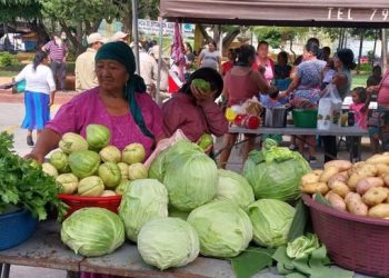 Impulsa la economía local y la seguridad alimentaria en San Manuel Chaparrón