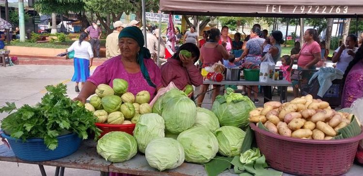 Impulsa la economía local y la seguridad alimentaria en San Manuel Chaparrón