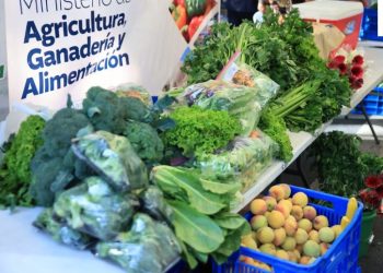 Feria del Agricultor para celebrar el Día Mundial de la Alimentación