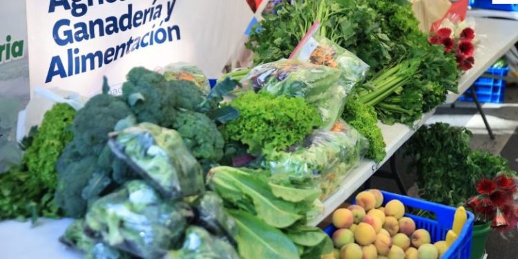 Feria del Agricultor para celebrar el Día Mundial de la Alimentación