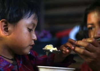 Dietas saludables y sostenibles: el reto de garantizar alimentos nutritivos para todos