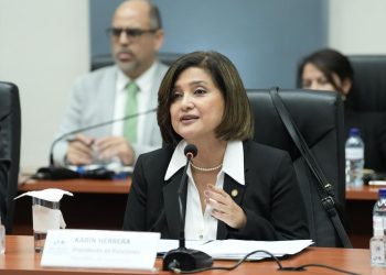 Presidenta en funciones. / Foto: Vicepresidencia de la República.