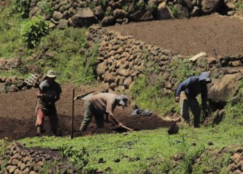 El suelo es un recurso esencial para la producción de alimentos. / Foto: MAGA.