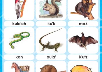 Diversos materiales educativos pueden ser descargados de la página web de Digebi. /Foto: cortesía Mineduc