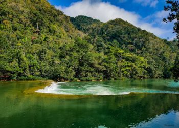 Reafirman compromiso con la protección de la naturaleza y hacen llamado a la acción por un futuro sostenible