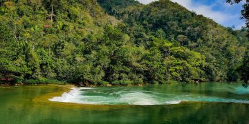 Reafirman compromiso con la protección de la naturaleza y hacen llamado a la acción por un futuro sostenible