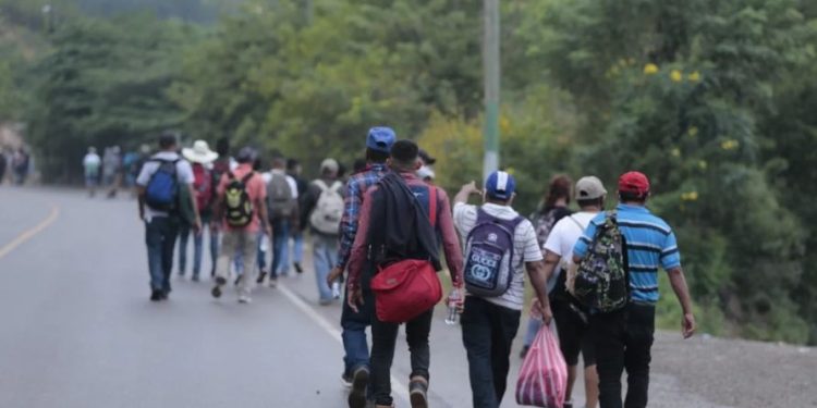 Lanzan campaña digital para prevenir los riesgos de la migración irregular