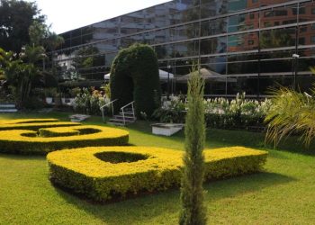 La Procuraduría General de la Nación destituye a abogada que incumplió en solicitar la falta de mérito contra el artista y docente universitario Gad Echeverría, durante la primera audiencia de declaración en la torre de tribunales.