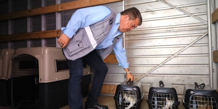 El MAGA refuerza la protección a través de la Unidad de Bienestar Animal