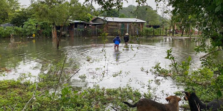 Evalúan daños por la tormenta tropical Sara. / Foto: MAGA.