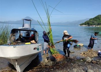 Los diferentes sectores y actividades que se realicen en el lago de Atitlán y sus alrededores deben contar con la licencia ambiental. / Foto: cortesía Amsclae
