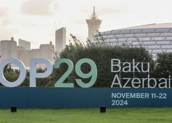 COP29
