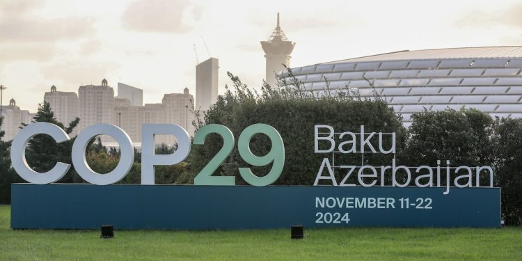 COP29
