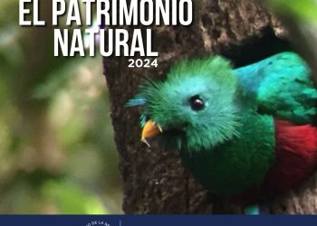 Diálogo busca abordar la temática de resguardo y presupuesto del patrimonio natural. / Foto: cortesía Conap.