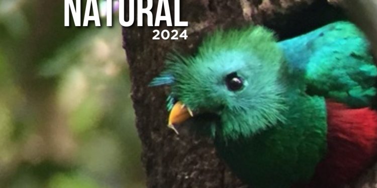 Diálogo busca abordar la temática de resguardo y presupuesto del patrimonio natural. / Foto: cortesía Conap.