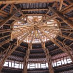 El bambú, una alternativa ecológica y sostenible para la construcción