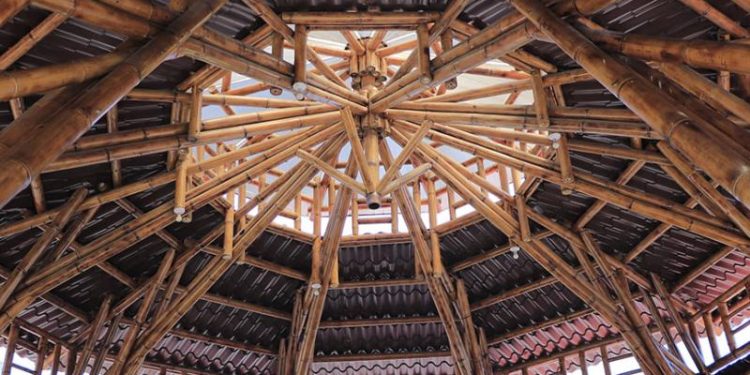 El bambú, también conocido como "acero verde", se ha convertido en una alternativa ecológica para la construcción.