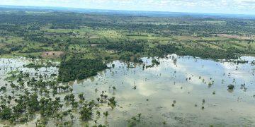 Conred reporta que atendió 99 emergencias surgidas durante el paso de la Tormenta Tropical Sara, en el país. / Foto: Conred.