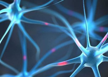 El cerebro activa gran cantidad de redes al momento de ver una película. / Foto: Getty Images.