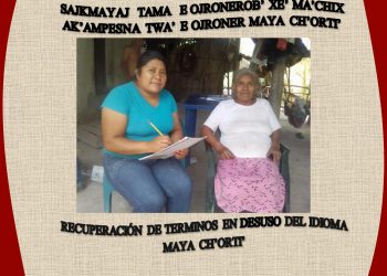 Puede consultar todo el estudio en la página de la ALMG. / Foto: cortesía ALMG