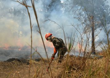 Estudio revela que contaminación por incendios tiene relación con muertes a nivel mundial. / Foto: Archivo.