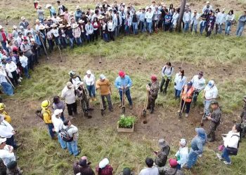 Ejército rebasa la meta de reforestación propuesta para el 2024