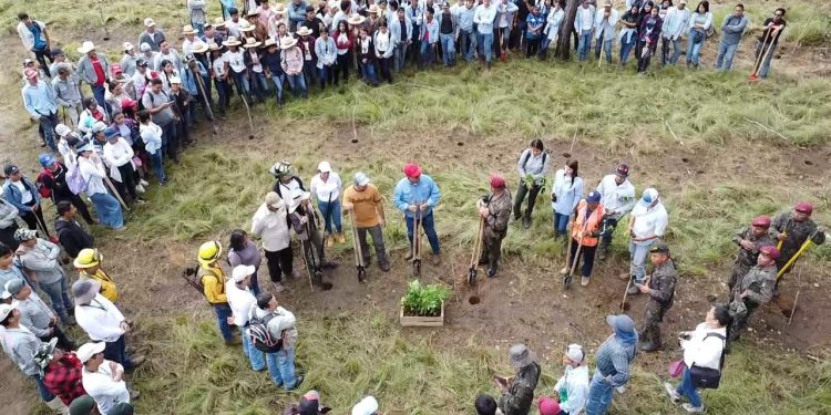 Ejército rebasa la meta de reforestación propuesta para el 2024