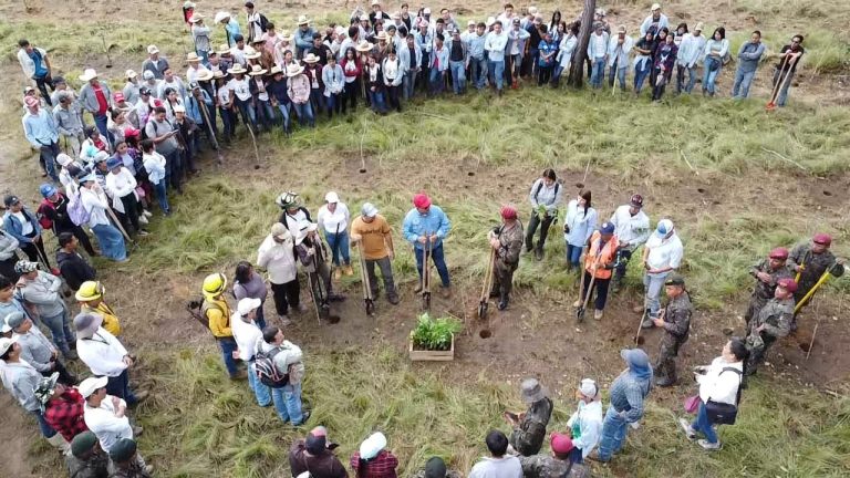 Ejército rebasa la meta de reforestación propuesta para el 2