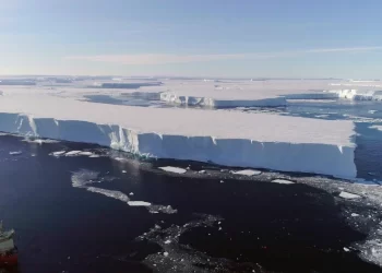 Hielo antártico revela cambio en temperatura inducido por actividad humana. / Foto: Telemundo