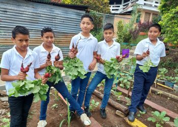 Estudiantes de diversas escuelas de San Marcos, concluyen con éxito huerto escolar. / Foto: cortesía Maga