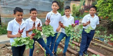 Estudiantes de diversas escuelas de San Marcos, concluyen con éxito huerto escolar. / Foto: cortesía Maga