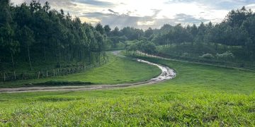 El 8vo. aporte benefició a 4 mil 397 familias. / Foto: cortesía Inab