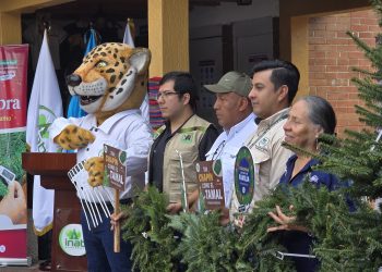 Inab y Conap realizaron la inauguración de las ferias del pinabete. / Foto: Inab.