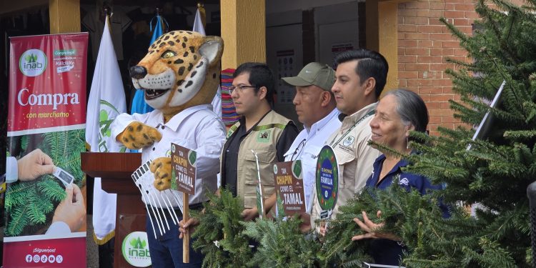 Inab y Conap realizaron la inauguración de las ferias del pinabete. / Foto: Inab.