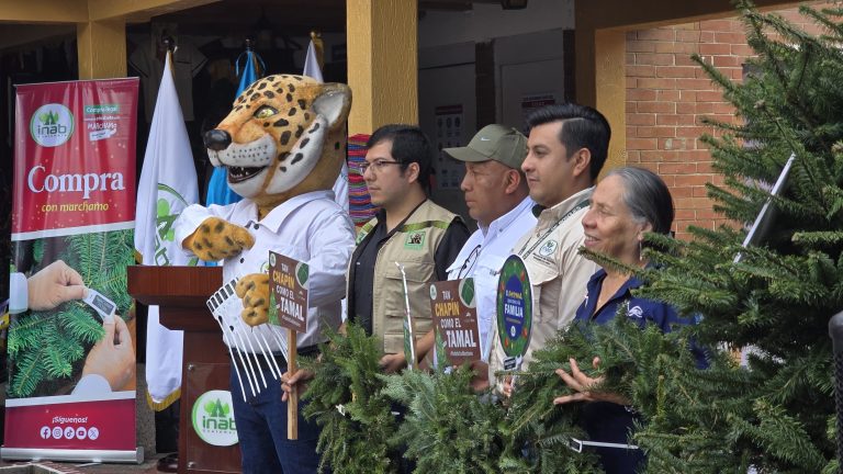 Inab y Conap inauguran ferias del pinabete 2