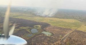 Conap: 429 incendios forestales dañaron áreas protegidas en 2