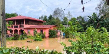 La Conred ha atendido 42 nuevas emergencias en las últimas horas y suman ya 2 mil 749 incidentes ocurridos durante la Época de lluvias 2024. / Foto; Conred.