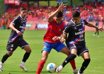 Torneo Arpertura 2024