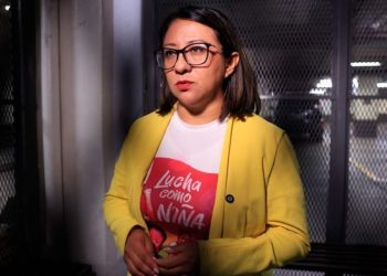 La exdiputada Ligia Hernández aceptó los cargos en su contra después de tres meses en prisión preventiva.
