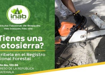 Los requisitos para la inscripción en el Registro Nacional Forestal los puede encontrar en línea. / Foto: cortesía Inab