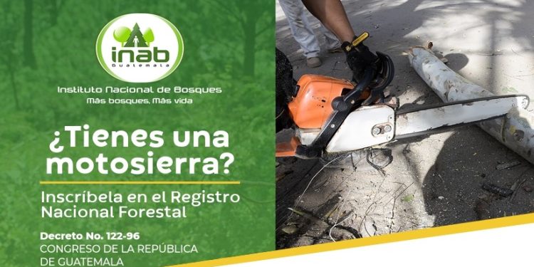 Los requisitos para la inscripción en el Registro Nacional Forestal los puede encontrar en línea. / Foto: cortesía Inab