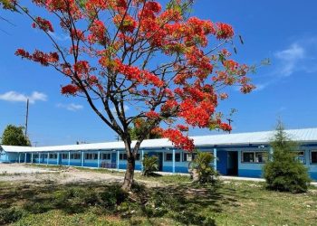 El Ministerio de Educación lleva 8 mil 968 remozamientos en centros educativos públicos a nivel nacional. / Foto: Archivo AGN.