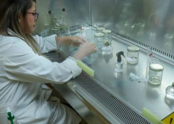 Puede encontrar los requisitos para participar y obtener financiamiento de investigación científica. / Foto: archivo AGN