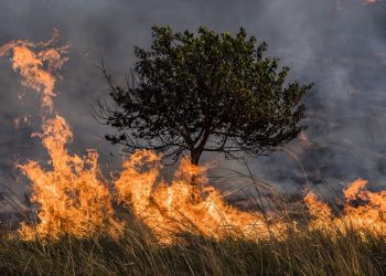 UNESCO presenta guía para proteger patrimonio natural y cultural. / Foto: National Geographic.