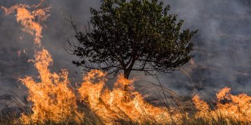 UNESCO presenta guía para proteger patrimonio natural y cultural. / Foto: National Geographic.