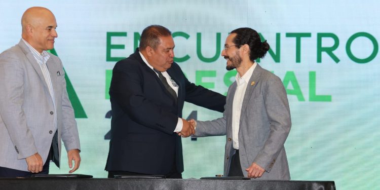 Durante la actividad se establecieron contactos nacionales y extranjeros del gremio forestal. / Foto: cortesía Inab.